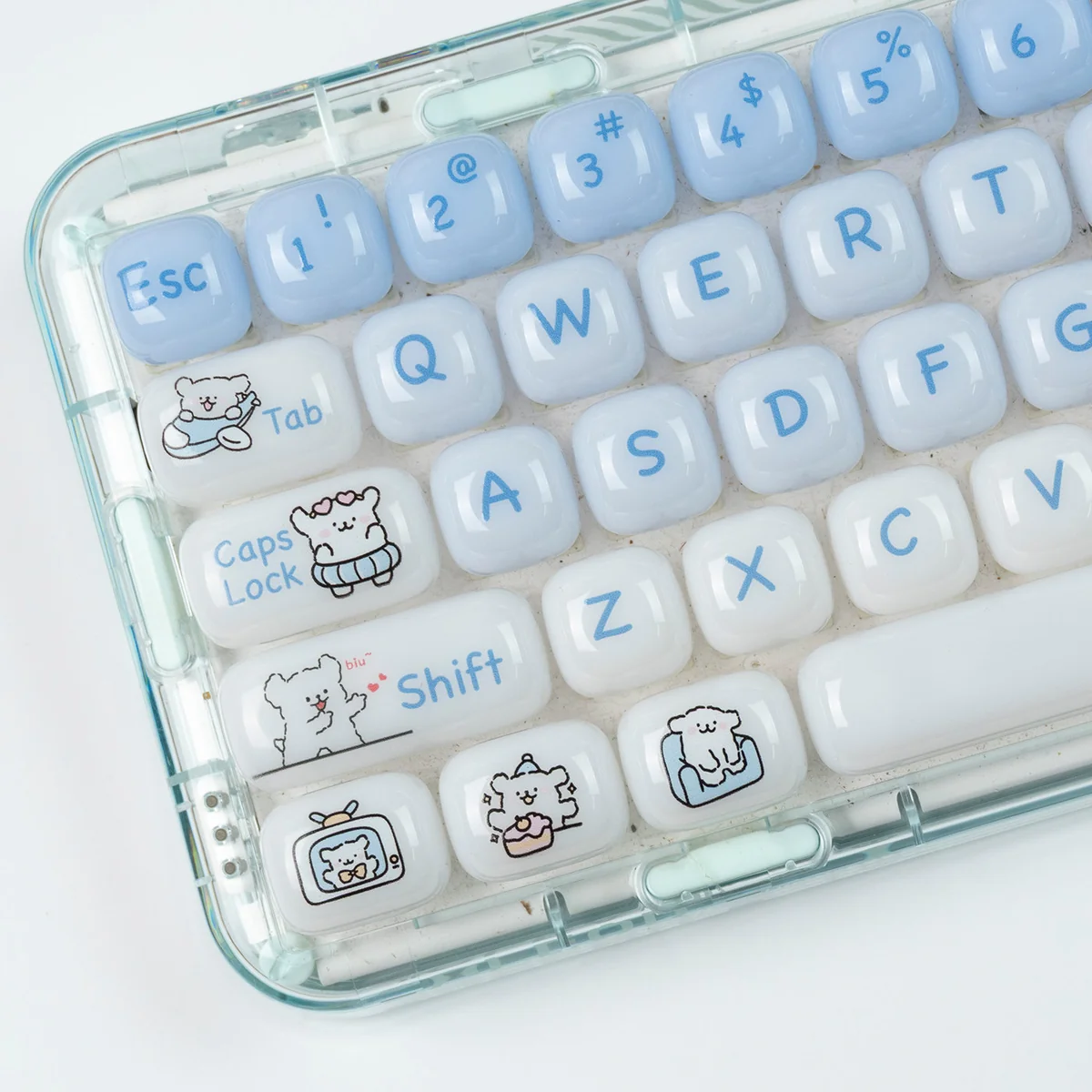 A whimsical Animal Spa: Swimming Maltese Dog MOG Keycap Set, viewed from a delightful angle, highlights its vibrant translucent design and adorable cartoon dog.