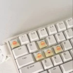 Handcrafted translucent Capybara Couple Lulu XDA keycaps (5-piece), viewed from multiple angles. These unique capybara keycaps playfully illuminate a personalize keyboard.