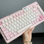 Pooping Kitten Cherry Keycap Set showcasing a complete 152-key collection with adorable, whimsical cartoon feline designs for a playful and expressive keyboard.